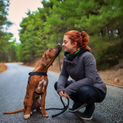 Dog rescue mission