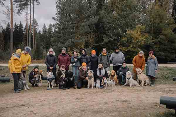 Ruff Rescue Team